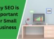 Why SEO is Important for Small Business